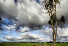 世预赛秘鲁对阵阿根廷，谁能笑到最后？