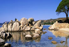 西超杯直播在线观看哪里找？这些关键要点帮你捋清楚